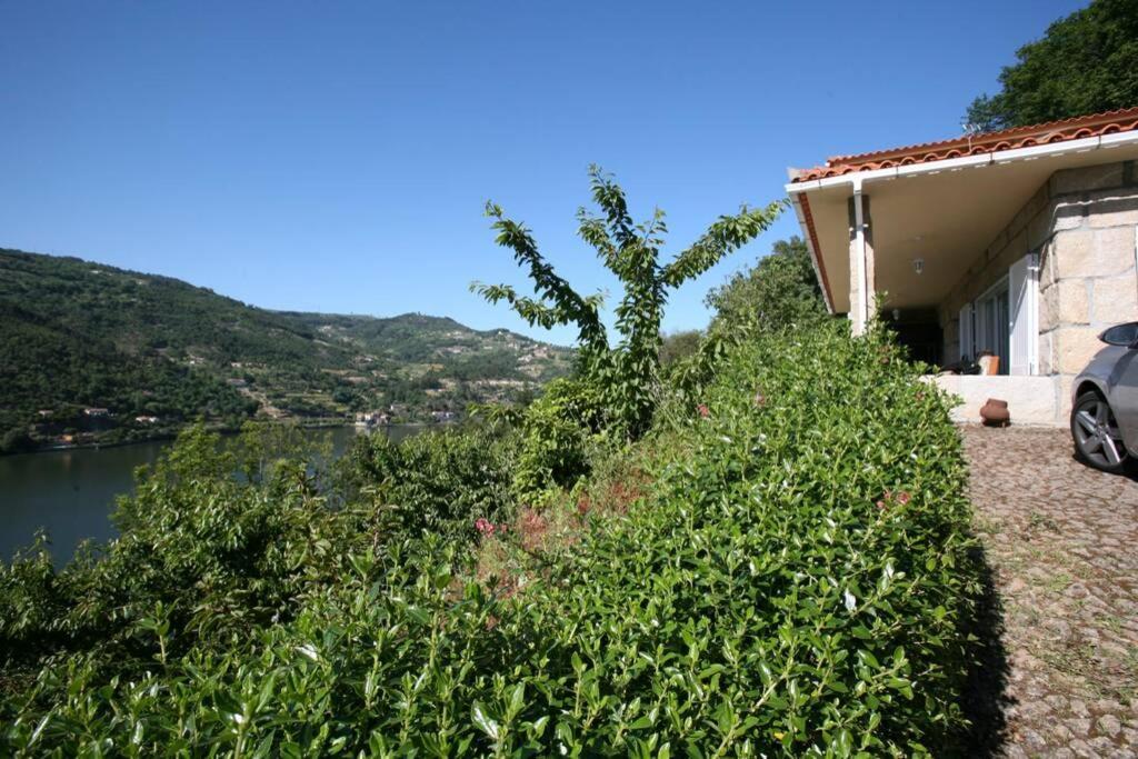 Douro Valley - Casa Do Campo Resende Covelas  Exterior foto